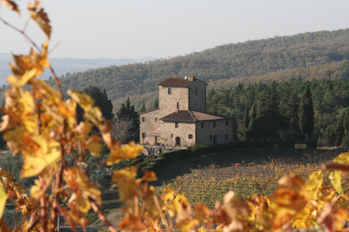 Herbstbäume mit Burg im Hintergrund